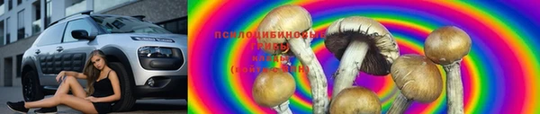 мдпв Карталы