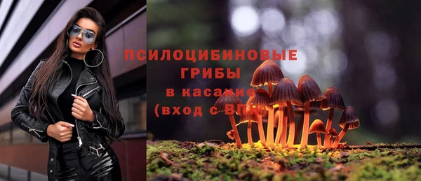 мдпв Карталы