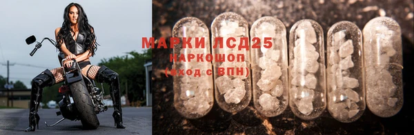 спиды Карпинск