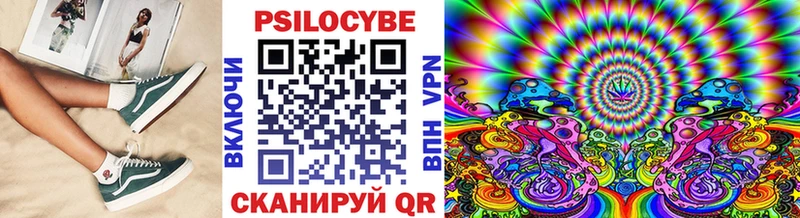 Купить где  Талица  Галлюциногенные грибы Psilocybine cubensis 